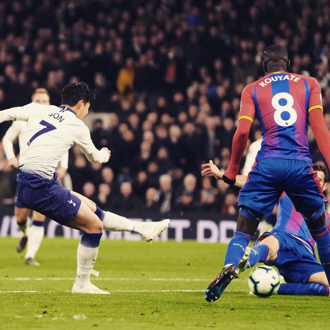 萨默尔指出 萨默尔指出