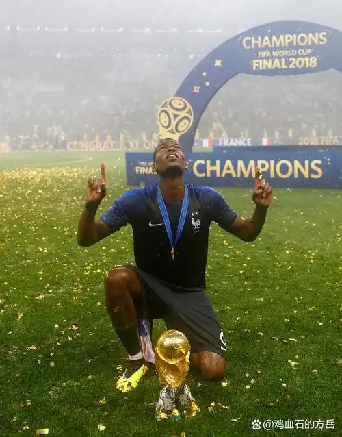 会案例中 会案例中