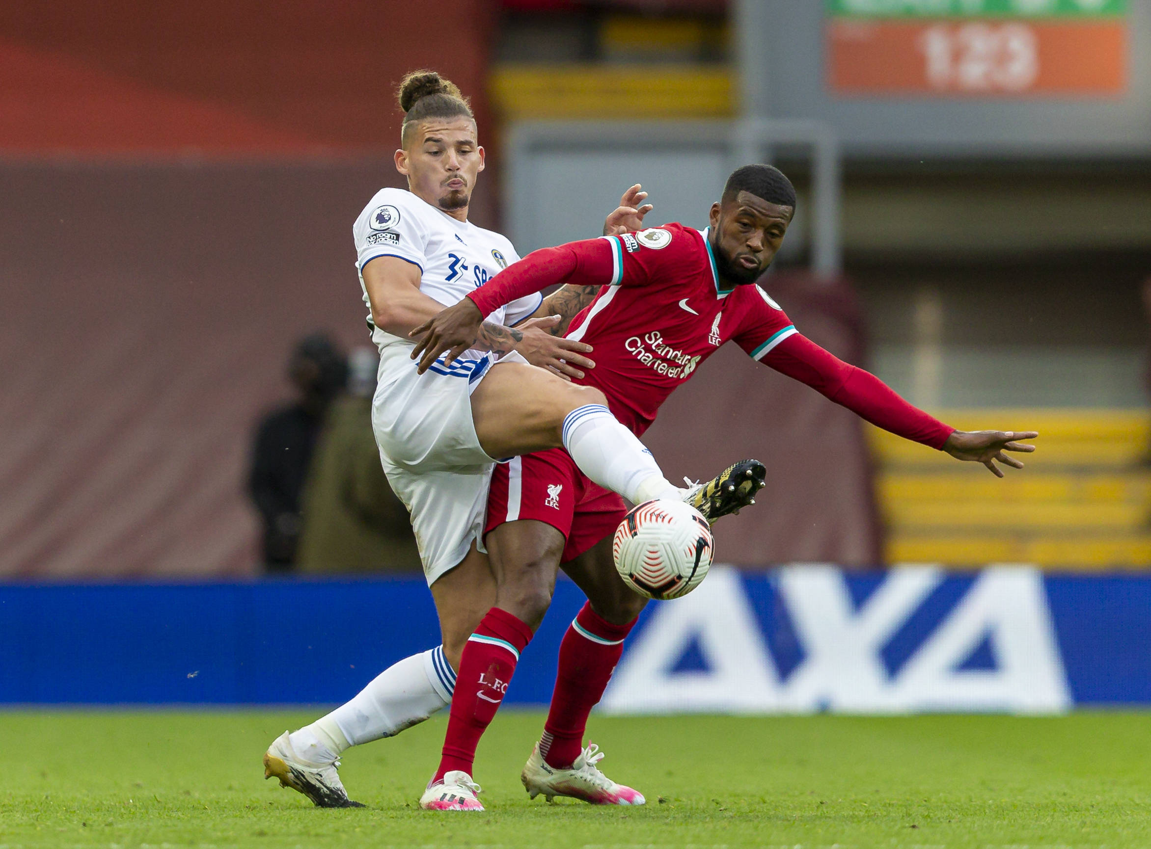 也可能对桑 也可能对桑